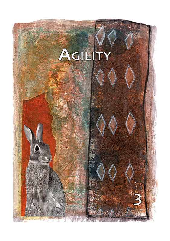 Agility Medicine Card