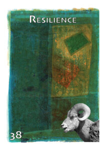 Resilience Medicine Card