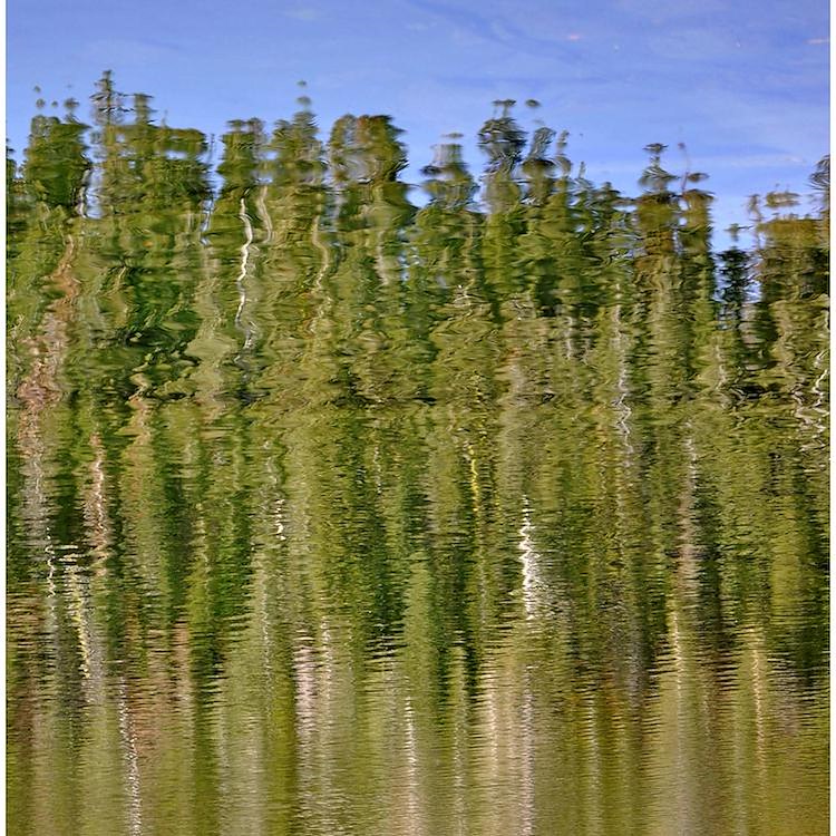 Reflection In Castle Lake Shower Curtain