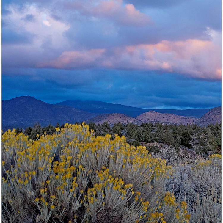 Shasta Sunset Shower Curtain